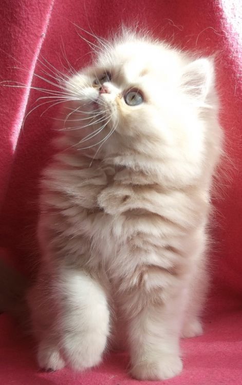 best_2.jpg