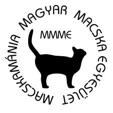 imagescax0sh1n.jpg